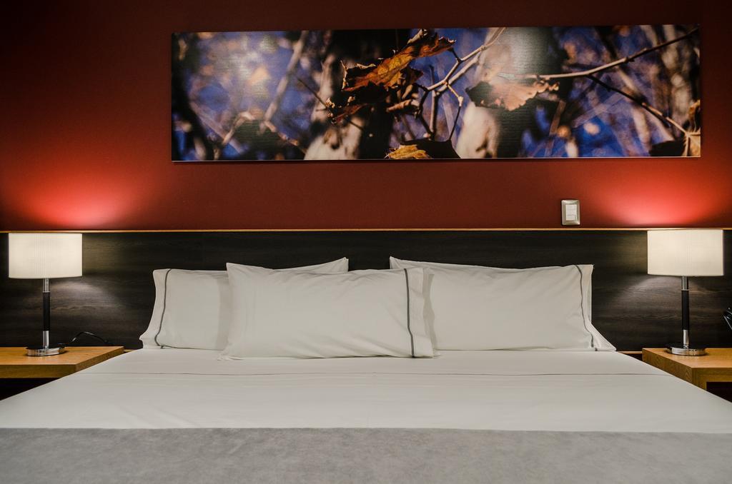 Concept Hotel Zamora de Hidalgo Værelse billede